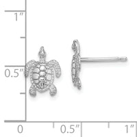 14K White Gold Polished / Textured Sea Turtle Post Earrings-TE627W