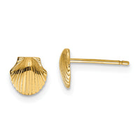 14k Mini Scallop Shell Post Earrings-TE632