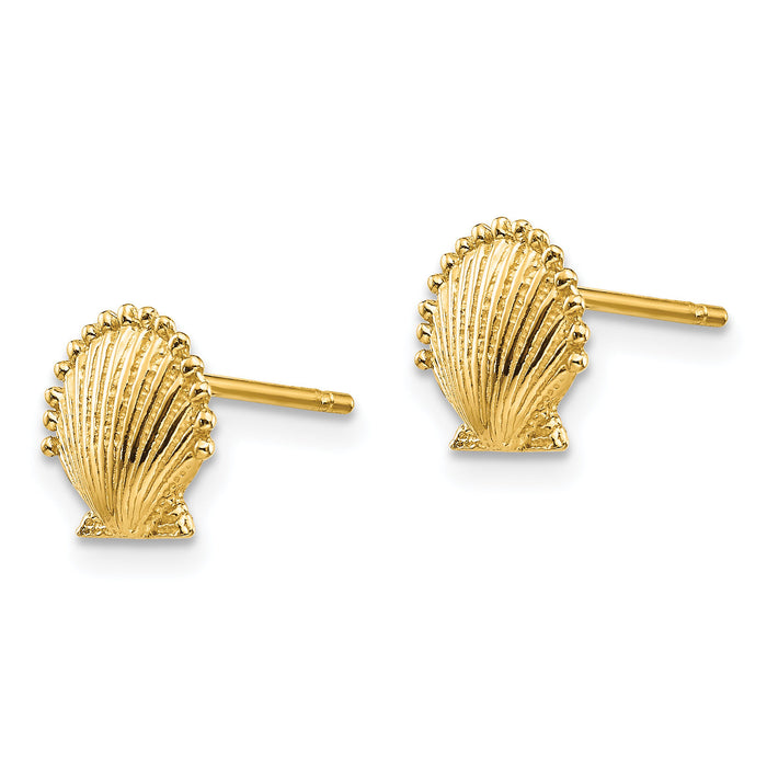 14k Scallop Shell Post Earrings-TE633