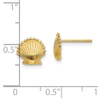 14k Scallop Shell Post Earrings-TE633