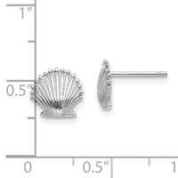 14K White Gold Scallop Shell Post Earrings-TE633W