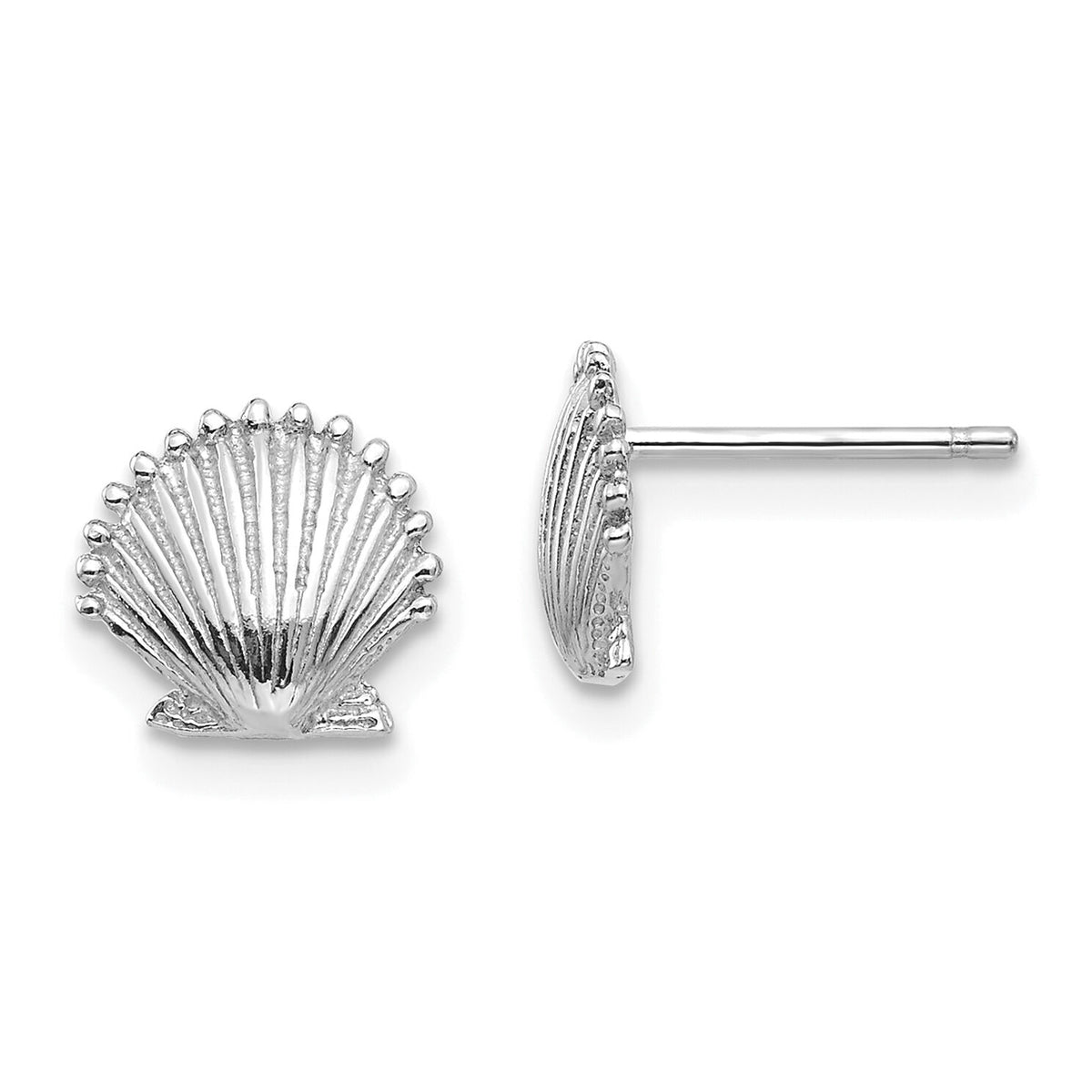 14K White Gold Scallop Shell Post Earrings-TE633W