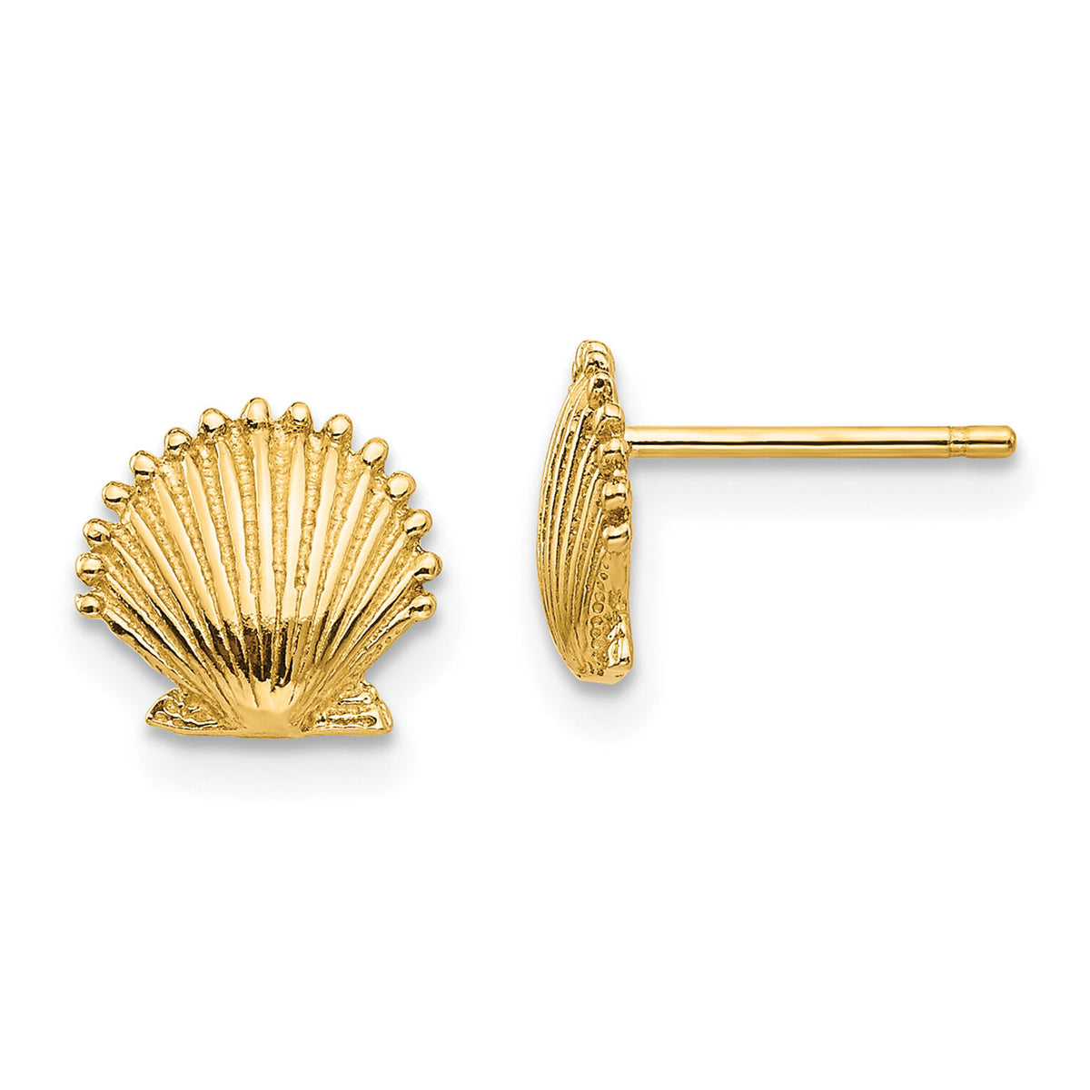 14k Scallop Shell Post Earrings-TE633