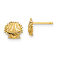 14k Scallop Shell Post Earrings-TE633