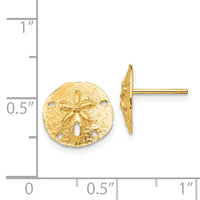 14k Sand Dollar Post Earrings-TE636