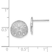 14k White Gold Sand Dollar Post Earrings-TE636W