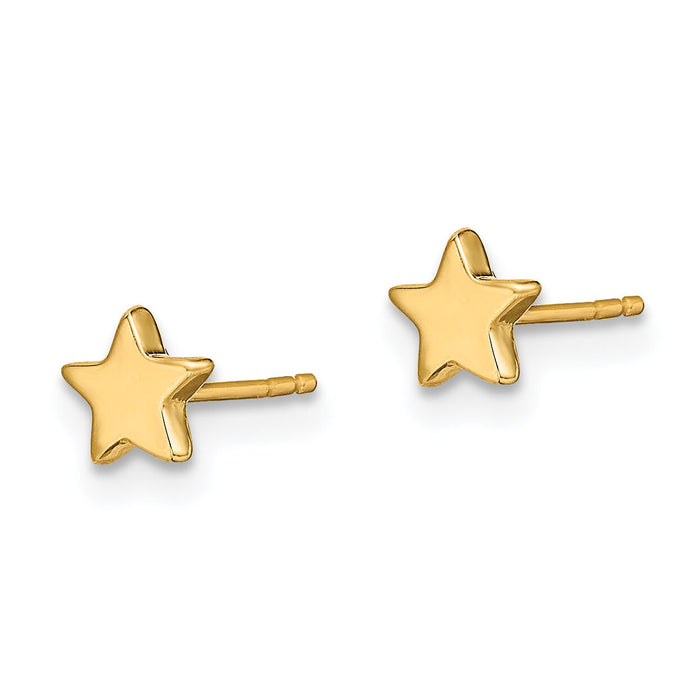 14k Gold Polished Star Post Earrings-TE651