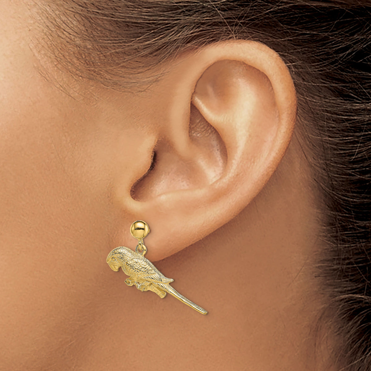 14K 3-D Parrot Dangle Earrings-TE675