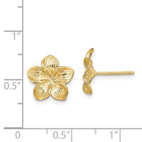 14K Plumeria Flower Post Earrings-TE723