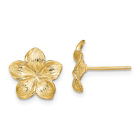 14K Plumeria Flower Post Earrings-TE723
