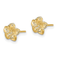 14K Plumeria Flower Post Earrings-TE724