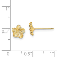 14K Plumeria Flower Post Earrings-TE724