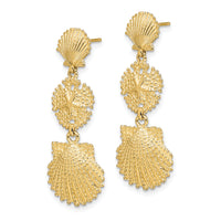 14K Scallop, Sand Dollar,,Scallop Dangle Earrings-TE742