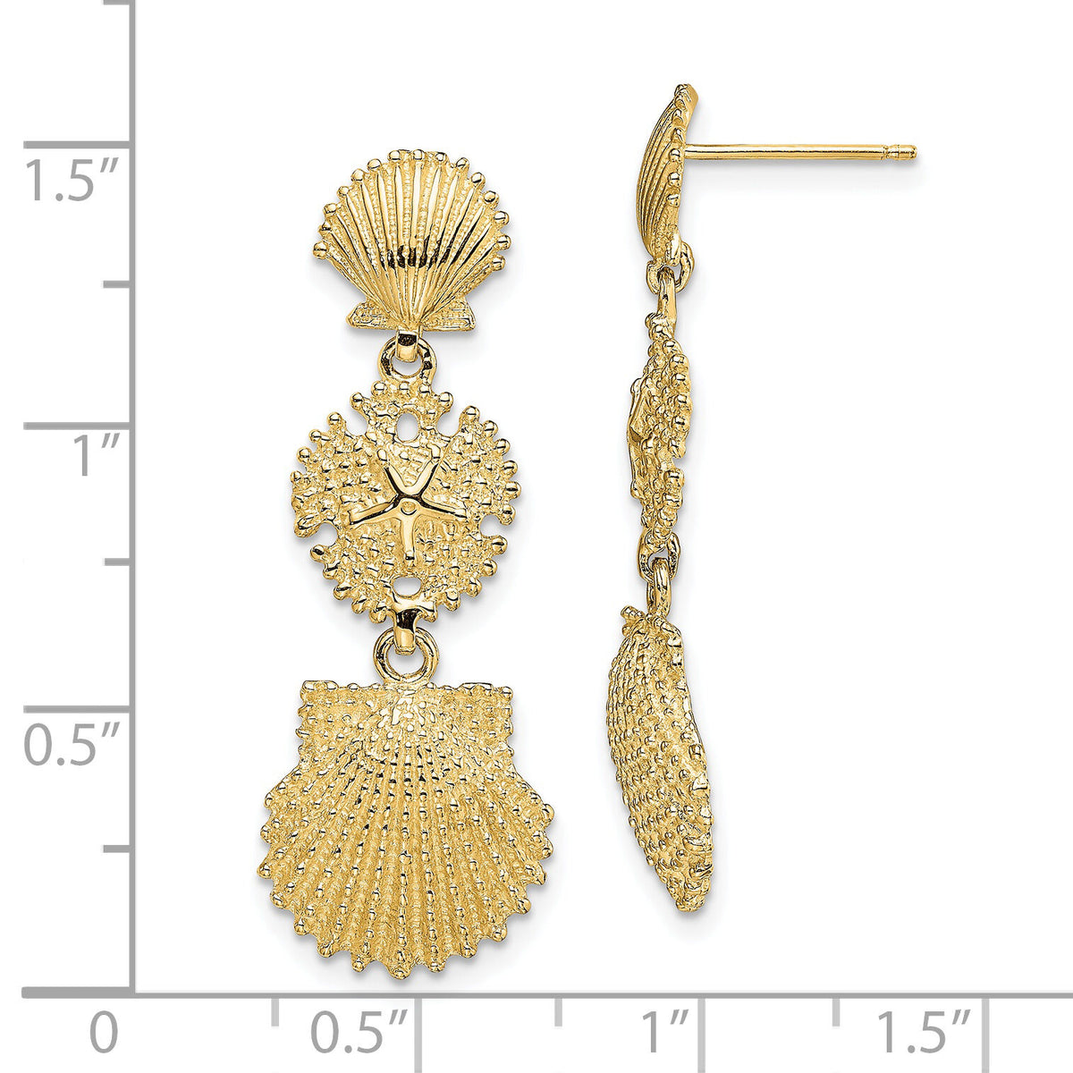 14K Scallop, Sand Dollar,,Scallop Dangle Earrings-TE742