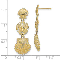 14K Scallop, Sand Dollar,,Scallop Dangle Earrings-TE742