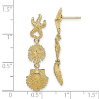 14K Starfish, Sand Dollar ,Scallop Shell Dangle Earrings-TE744