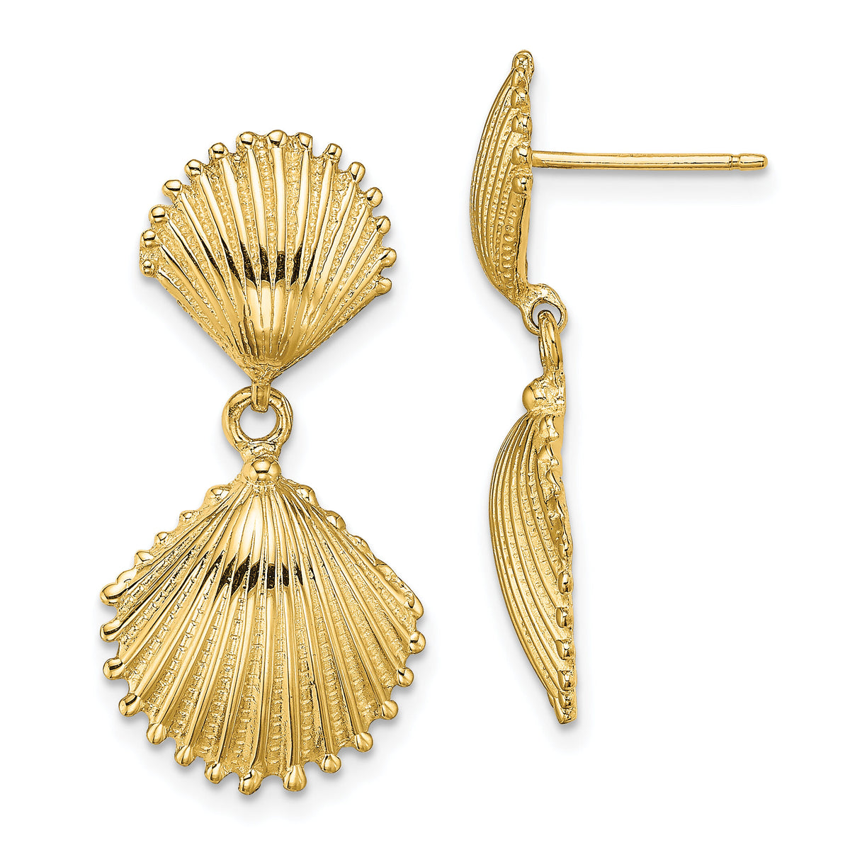 14K Polished Scallop Shell Dangle Earrings-TE754