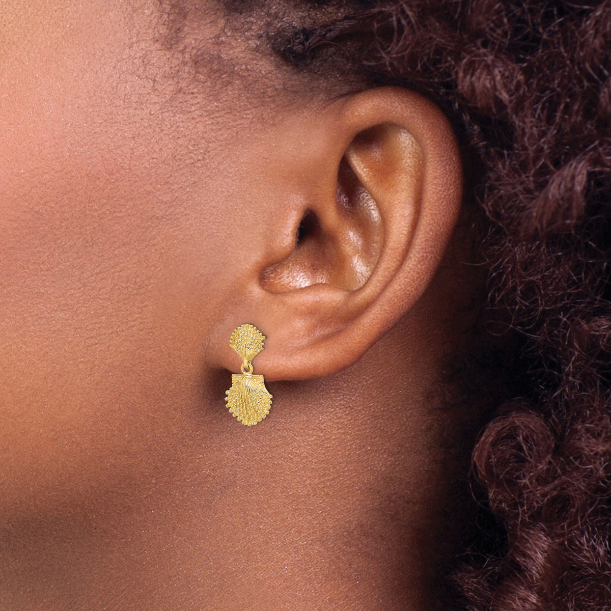 14K Double Beaded Scallop Shell Dangle Earrings-TE755