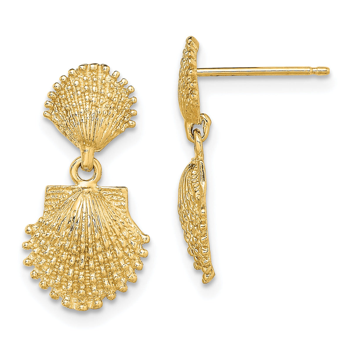 14K Double Beaded Scallop Shell Dangle Earrings-TE755