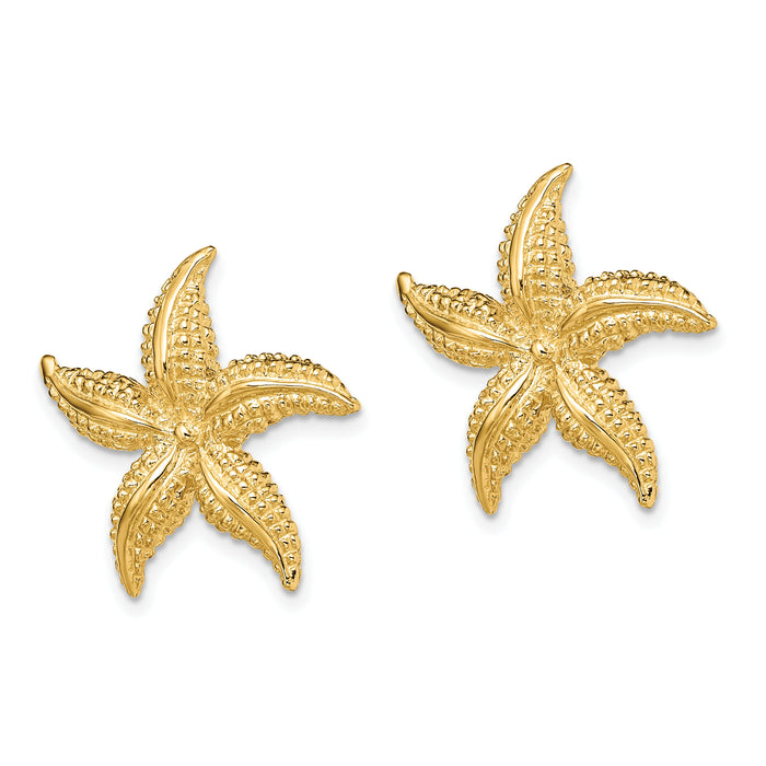 14K 2-D Polished and Textured Starfish Post Earrings-TE758