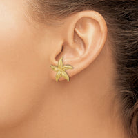 14K 2-D Polished and Textured Starfish Post Earrings-TE758