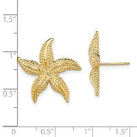 14K 2-D Polished and Textured Starfish Post Earrings-TE758