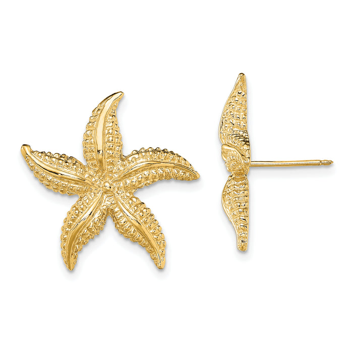 14K 2-D Polished and Textured Starfish Post Earrings-TE758