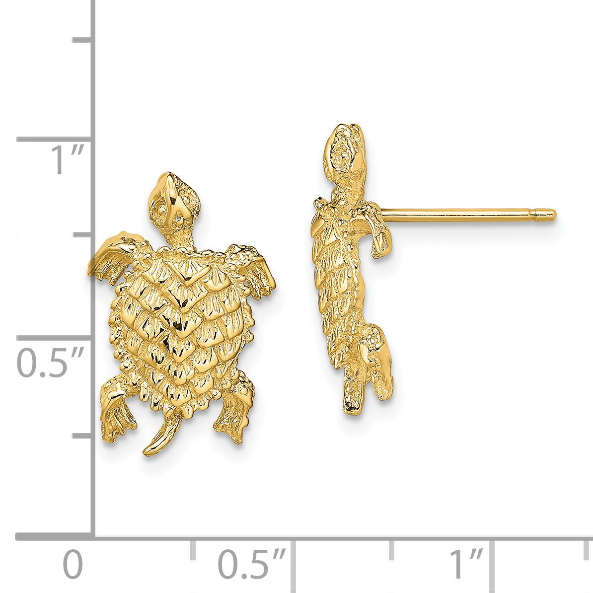 14K Land Turtle  Textured Post Earrings-TE763