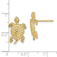 14K Land Turtle  Textured Post Earrings-TE763