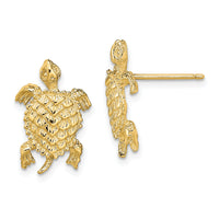 14K Land Turtle  Textured Post Earrings-TE763