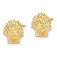 14K Beaded Scallop Shell Post Earrings-TE766