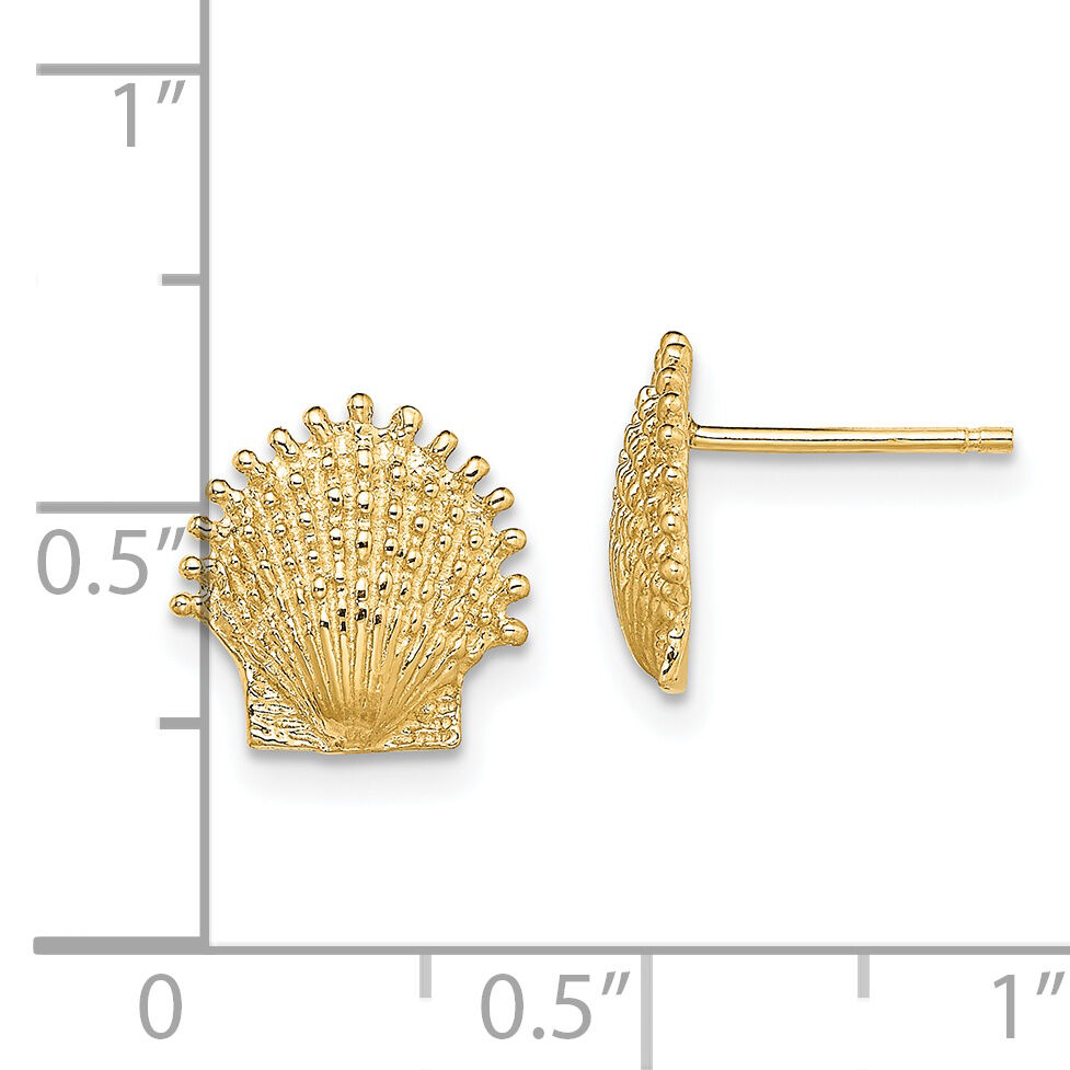 14K Beaded Scallop Shell Post Earrings-TE766