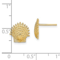 14K Beaded Scallop Shell Post Earrings-TE766