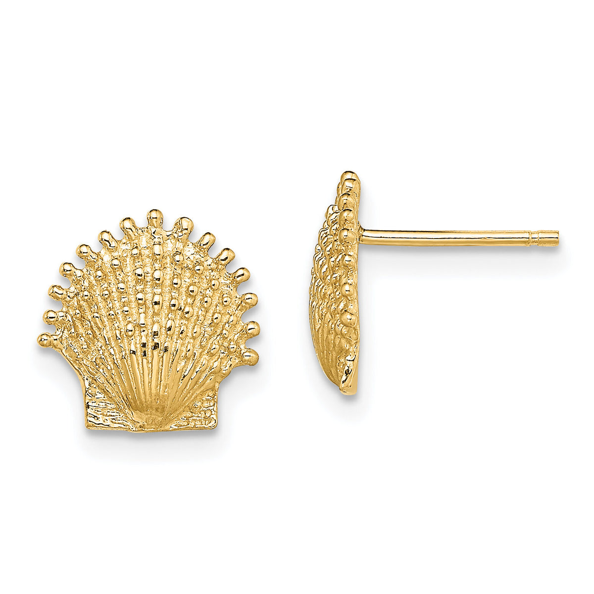 14K Beaded Scallop Shell Post Earrings-TE766