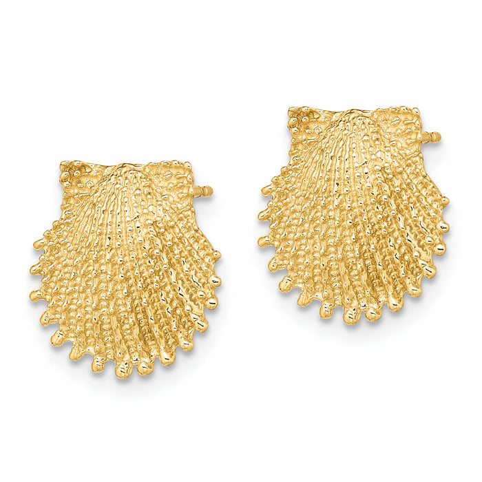 14K Beaded Scallop Shell Post Earrings-TE767
