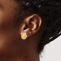 14K Beaded Scallop Shell Post Earrings-TE767