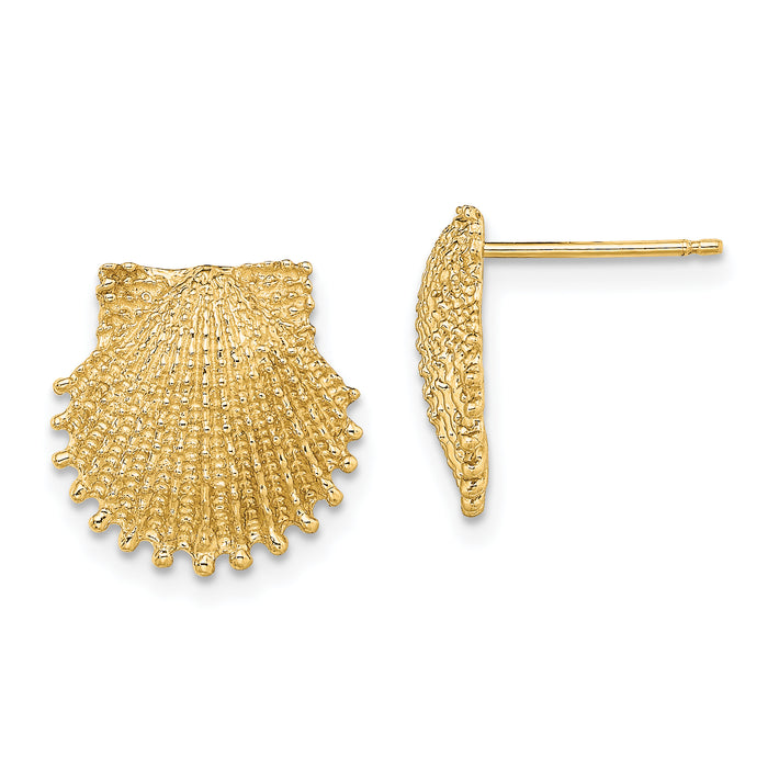14K Beaded Scallop Shell Post Earrings-TE767