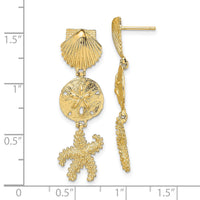 14K Shell, Sand Dollar ,Starfish Post Dangle Earrings-TE768