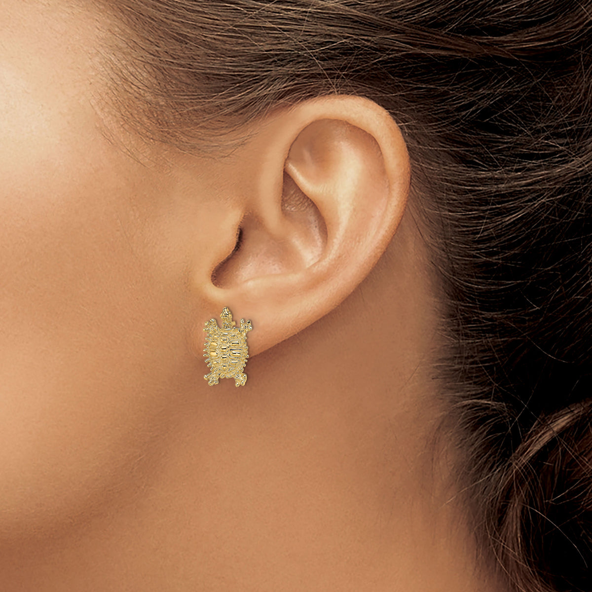 14K Land Turtle Post Earrings-TE774