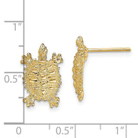 14K Land Turtle Post Earrings-TE774