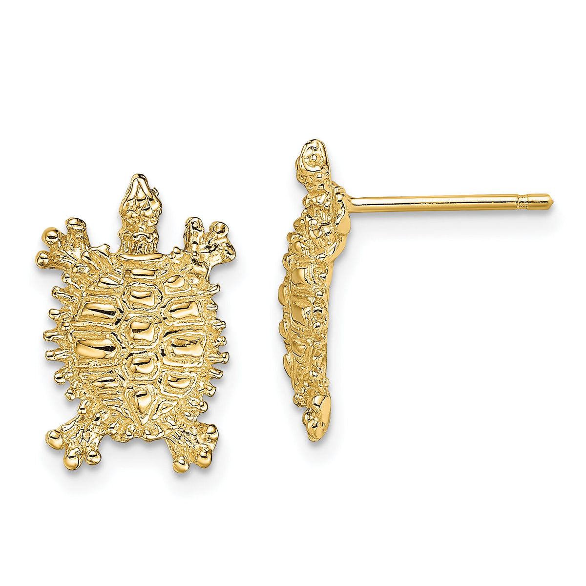 14K Land Turtle Post Earrings-TE774