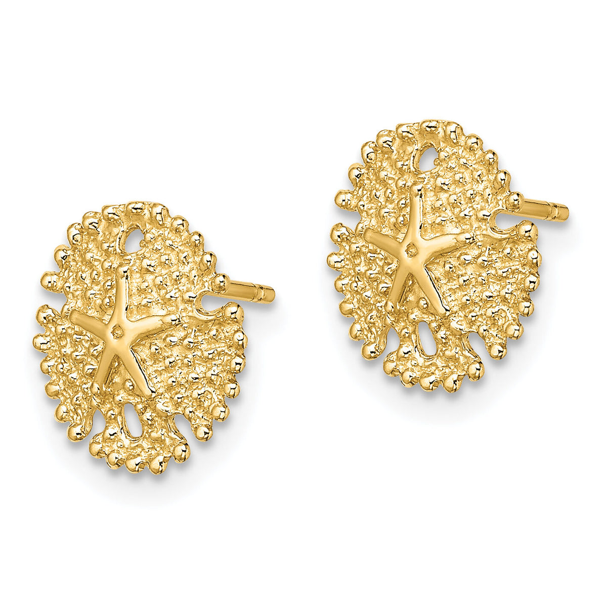 14K Textured Sand Dollar Post Earrings-TE776