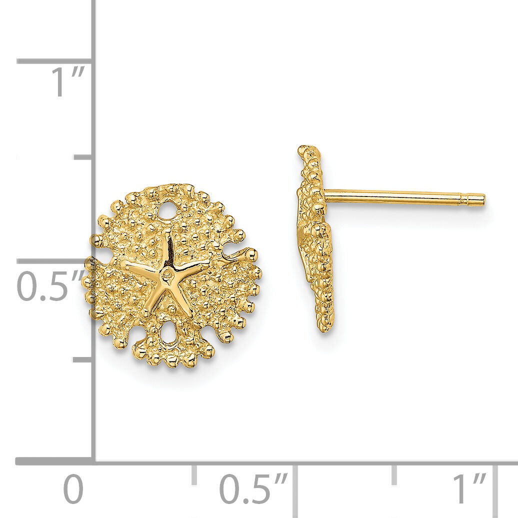 14K Textured Sand Dollar Post Earrings-TE776