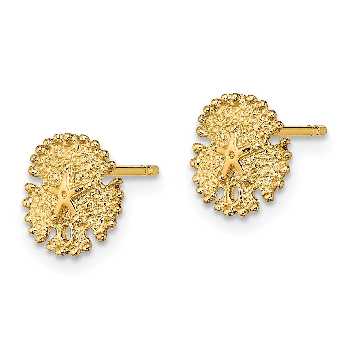 14K Textured Sand Dollar Post Earrings-TE777