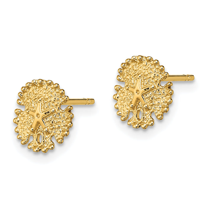 14K Textured Sand Dollar Post Earrings-TE777