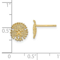 14K Textured Sand Dollar Post Earrings-TE777