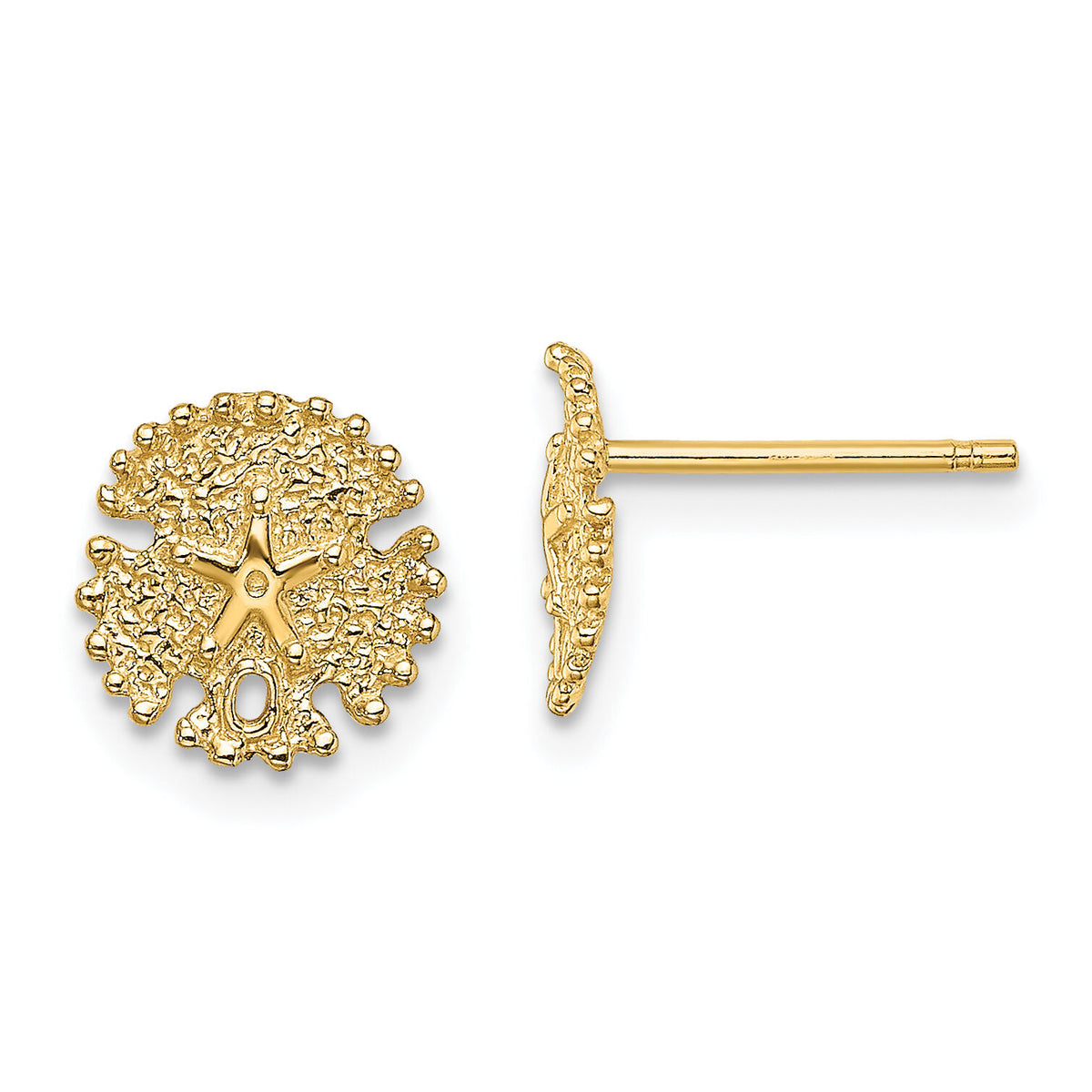14K Textured Sand Dollar Post Earrings-TE777