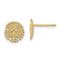14K Textured Sand Dollar Post Earrings-TE777