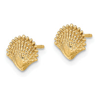 14K Scallop Shell Post Earrings-TE778