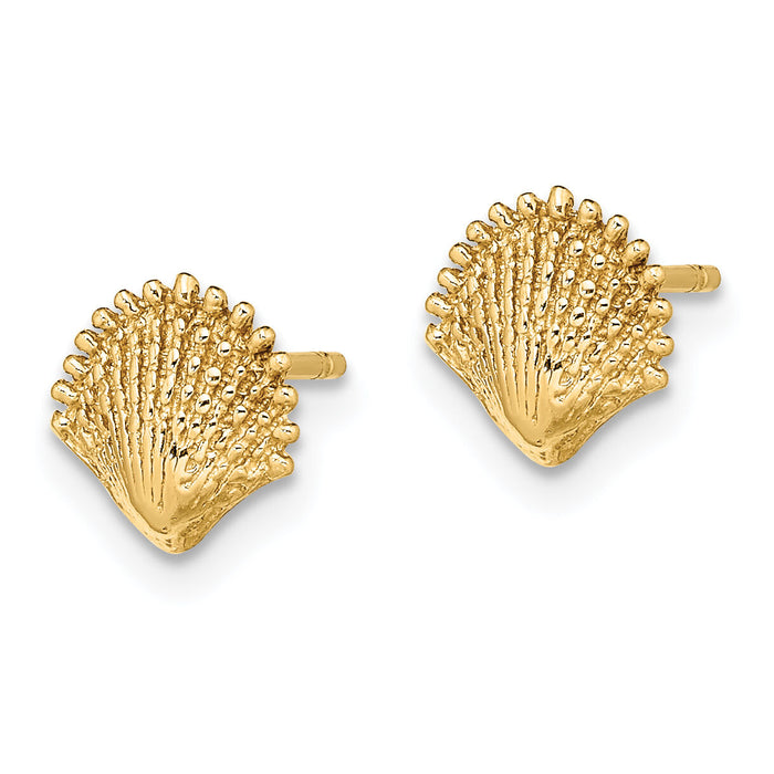 14K Scallop Shell Post Earrings-TE778